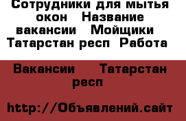 Сотрудники для мытья окон › Название вакансии ­ Мойщики - Татарстан респ. Работа » Вакансии   . Татарстан респ.